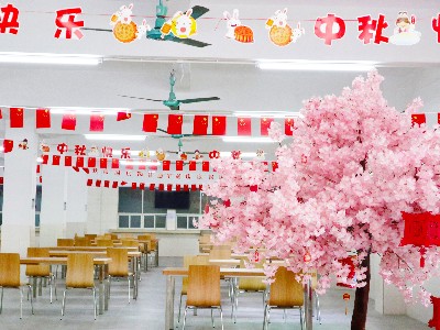 yp�ֻ�-��������