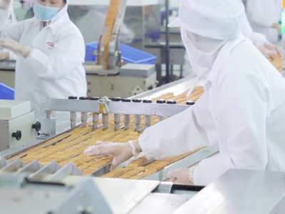 �����ʴ�yp�ֻ���OEM ʵ��������