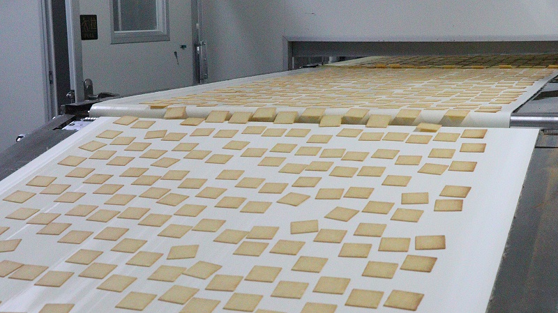 yp�ֻ�-��������