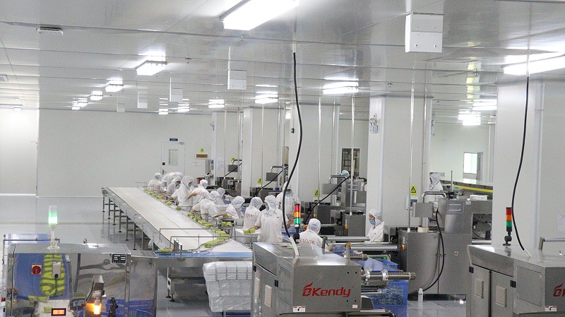 yp�ֻ�-��ҵ����