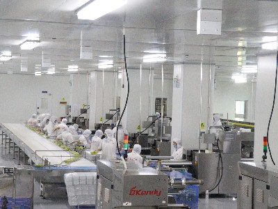 yp�ֻ�-��ҵ����