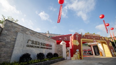 ��ݺǨ�¼���Ⱥ�ǻ�ۡ�yp�ֻ���ʻ���ⷢչ���£�