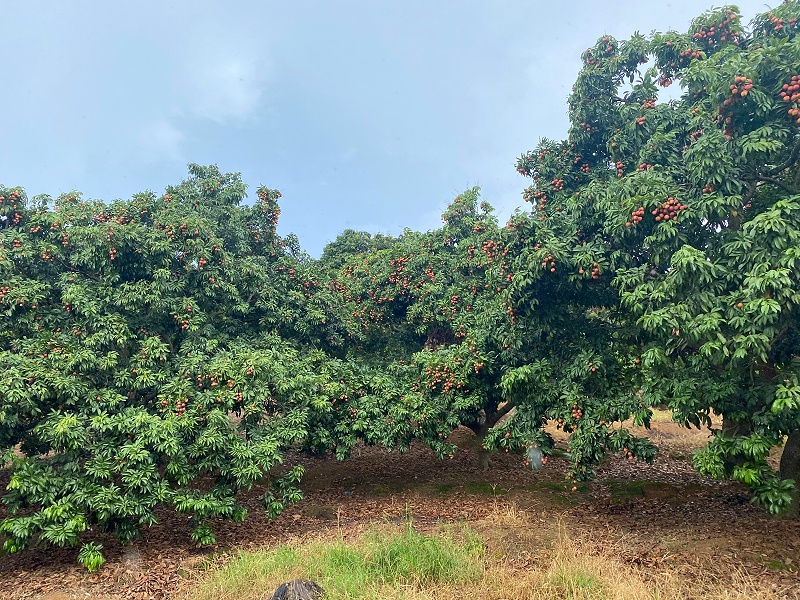 ���縣����yp�ֻ���֯ժ��֦�